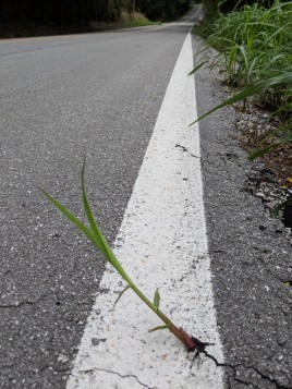 Pushing through the wall